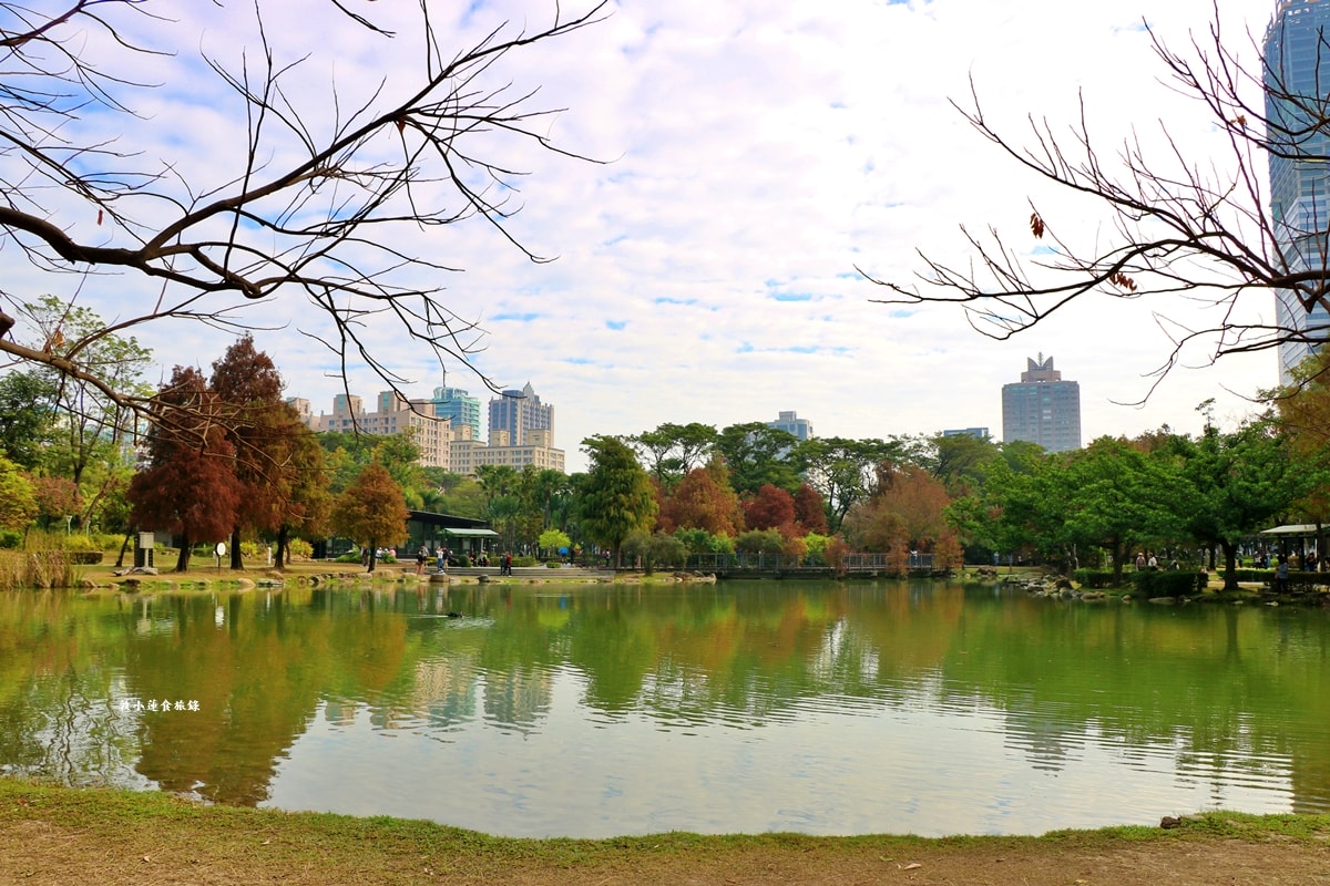 凹子底森林公園‧冬季限定美景落羽松,綠、黃、橘紅色交織,數十種鳥類聚集,捷運凹子底站即到!! - 第26張圖 凹子底森林公園‧冬季限定美景落羽松,綠、黃、橘紅色交織,數十種鳥類聚集,捷運凹子底站即到!!