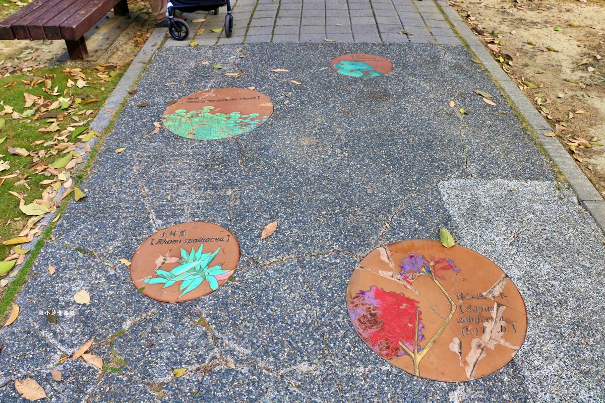 凹子底森林公園‧冬季限定美景落羽松,綠、黃、橘紅色交織,數十種鳥類聚集,捷運凹子底站即到!! - 第32張圖 凹子底森林公園‧冬季限定美景落羽松,綠、黃、橘紅色交織,數十種鳥類聚集,捷運凹子底站即到!!