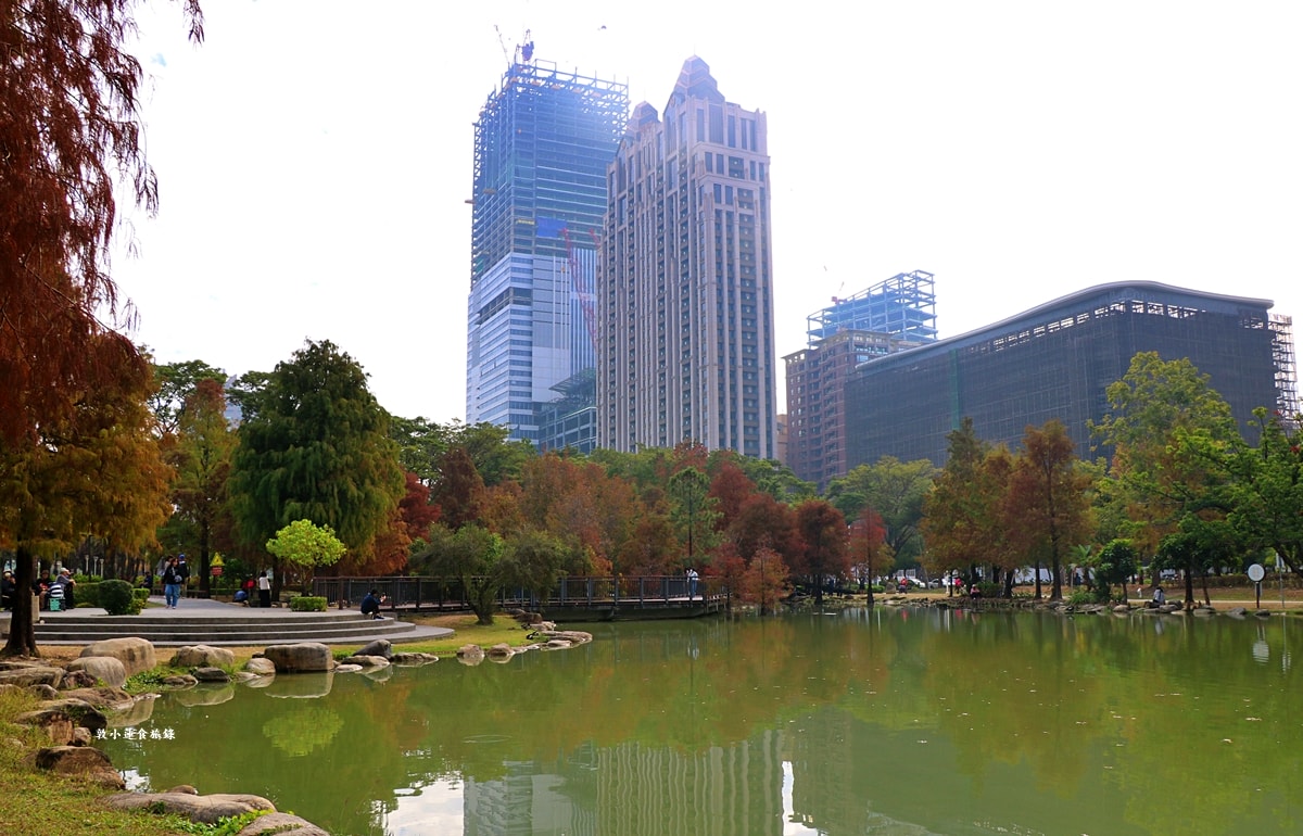凹子底森林公園‧冬季限定美景落羽松,綠、黃、橘紅色交織,數十種鳥類聚集,捷運凹子底站即到!! - 第34張圖 凹子底森林公園‧冬季限定美景落羽松,綠、黃、橘紅色交織,數十種鳥類聚集,捷運凹子底站即到!!