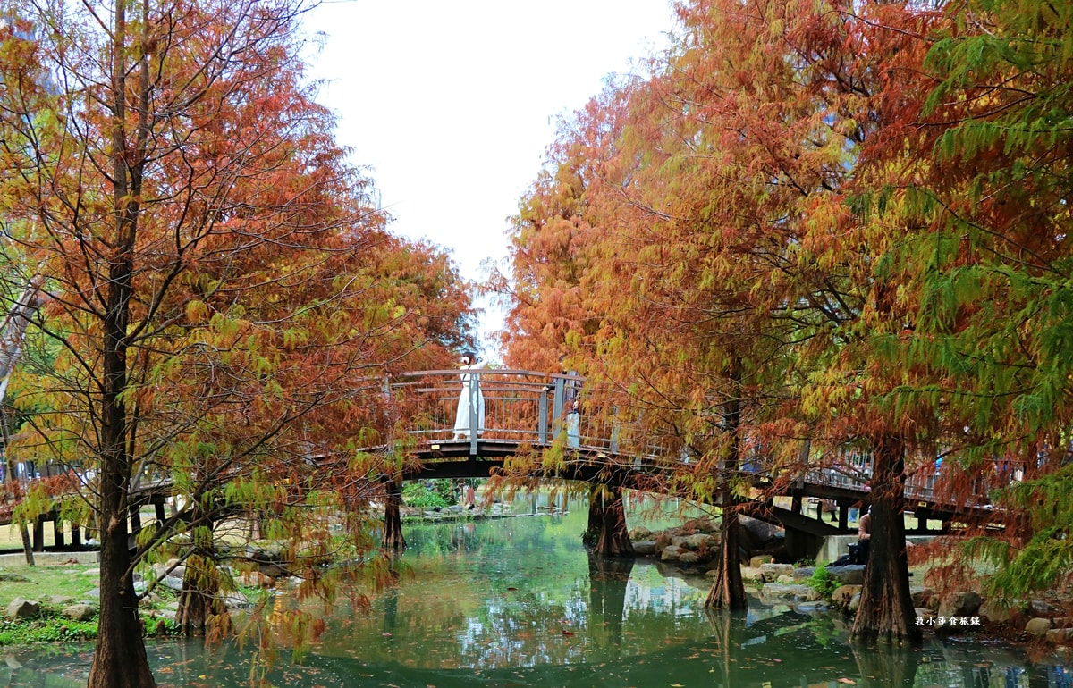 凹子底森林公園‧冬季限定美景落羽松,綠、黃、橘紅色交織,數十種鳥類聚集,捷運凹子底站即到!! - 第1張圖 凹子底森林公園‧冬季限定美景落羽松,綠、黃、橘紅色交織,數十種鳥類聚集,捷運凹子底站即到!!