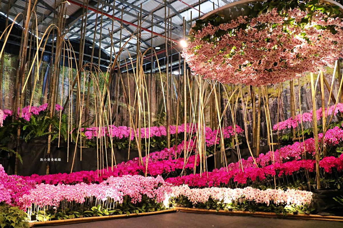 2026臺灣國際蘭展暨花卉科技展‧全球三大蘭展,以AI科技為潮流,結合花卉藝術亮眼世界!! - 第13張圖 2026臺灣國際蘭展暨花卉科技展‧全球三大蘭展,以AI科技為潮流,結合花卉藝術亮眼世界!!