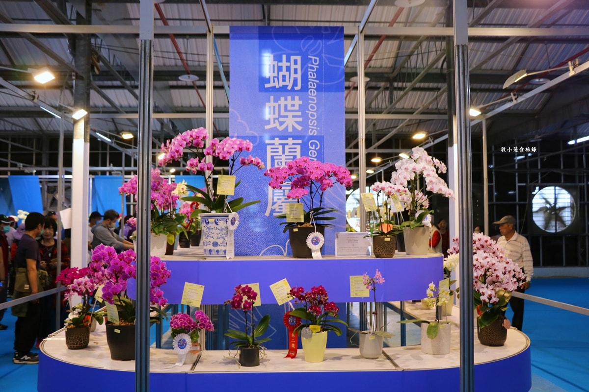 2026臺灣國際蘭展暨花卉科技展‧全球三大蘭展,以AI科技為潮流,結合花卉藝術亮眼世界!! - 第25張圖 2026臺灣國際蘭展暨花卉科技展‧全球三大蘭展,以AI科技為潮流,結合花卉藝術亮眼世界!!