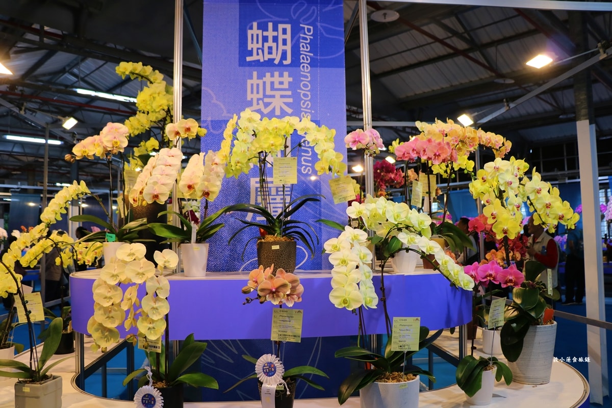 2026臺灣國際蘭展暨花卉科技展‧全球三大蘭展,以AI科技為潮流,結合花卉藝術亮眼世界!! - 第26張圖 2026臺灣國際蘭展暨花卉科技展‧全球三大蘭展,以AI科技為潮流,結合花卉藝術亮眼世界!!