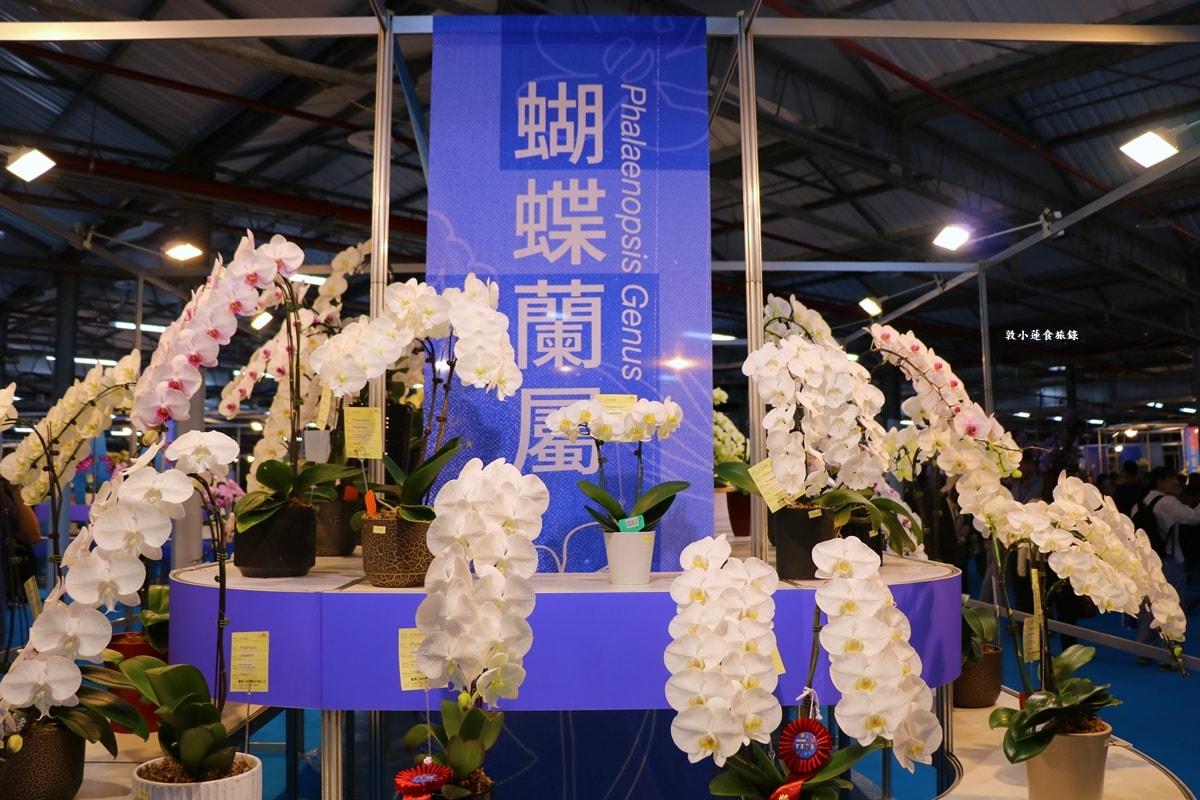 2026臺灣國際蘭展暨花卉科技展‧全球三大蘭展,以AI科技為潮流,結合花卉藝術亮眼世界!! - 第28張圖 2026臺灣國際蘭展暨花卉科技展‧全球三大蘭展,以AI科技為潮流,結合花卉藝術亮眼世界!!
