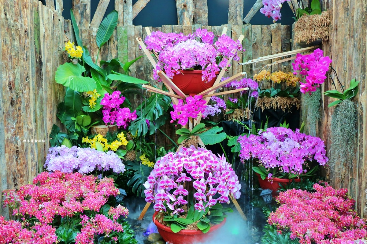 2026臺灣國際蘭展暨花卉科技展‧全球三大蘭展,以AI科技為潮流,結合花卉藝術亮眼世界!! - 第43張圖 2026臺灣國際蘭展暨花卉科技展‧全球三大蘭展,以AI科技為潮流,結合花卉藝術亮眼世界!!