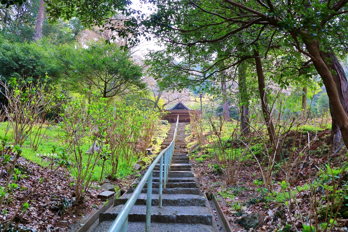 【日本‧岡山】吉備津神社‧岡山最有代表性的古老神社之一，六百年歷史的吉備津神社，桃太郎傳說的起源地