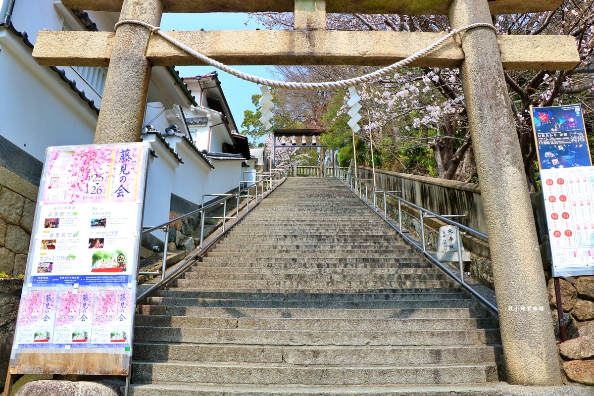 【岡山倉敷】阿智神社‧櫻花與紫藤圍繞的神社,四月櫻花五月紫藤,最美的御守-花纏守 - 第3張圖 【岡山倉敷】阿智神社‧櫻花與紫藤圍繞的神社,四月櫻花五月紫藤,最美的御守-花纏守