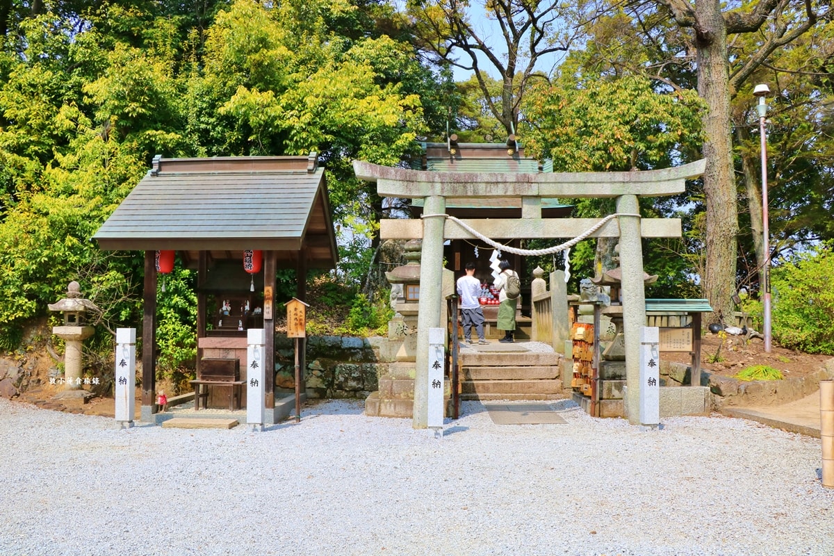 【岡山倉敷】阿智神社‧櫻花與紫藤圍繞的神社,四月櫻花五月紫藤,最美的御守-花纏守 - 第19張圖 【岡山倉敷】阿智神社‧櫻花與紫藤圍繞的神社,四月櫻花五月紫藤,最美的御守-花纏守