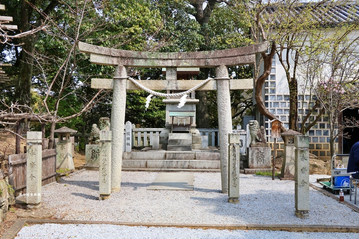 【岡山倉敷】阿智神社‧櫻花與紫藤圍繞的神社,四月櫻花五月紫藤,最美的御守-花纏守 - 第23張圖 【岡山倉敷】阿智神社‧櫻花與紫藤圍繞的神社,四月櫻花五月紫藤,最美的御守-花纏守