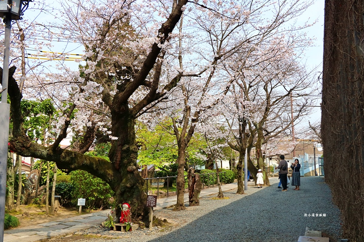 【岡山倉敷】倉敷美觀地區‧400年歷史的倉敷美觀，江戶時代白壁倉庫，柳樹運河，歷史、文化、購物、美食半日遊
