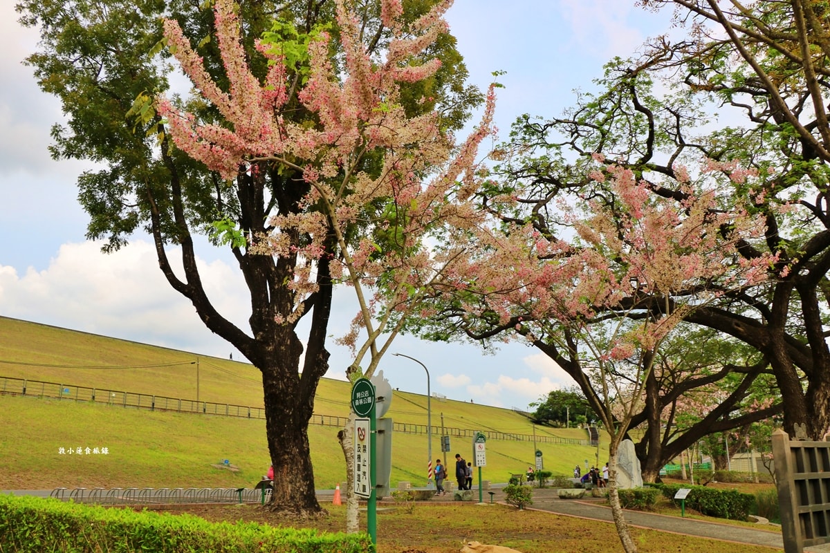 阿公店水庫環湖步道‧全台首條環水庫自行車道,O型環狀全長10公里,高雄最安全的單車步道 - 第26張圖 阿公店水庫環湖步道‧全台首條環水庫自行車道,O型環狀全長10公里,高雄最安全的單車步道