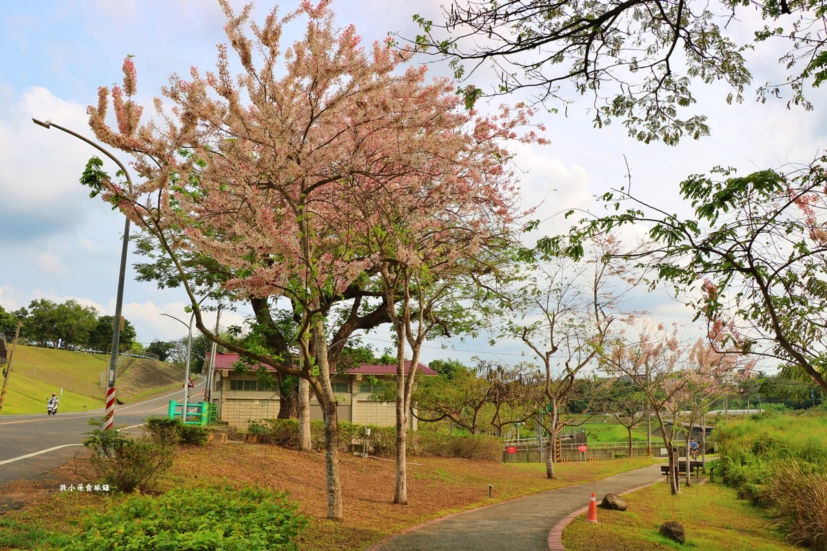阿公店水庫環湖步道‧全台首條環水庫自行車道,O型環狀全長10公里,高雄最安全的單車步道 - 第22張圖 阿公店水庫環湖步道‧全台首條環水庫自行車道,O型環狀全長10公里,高雄最安全的單車步道