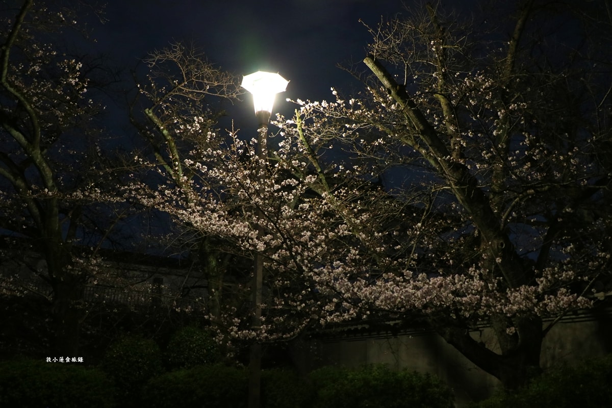 【日本大阪】大阪城‧日本三大名城之一,戰國三傑豐臣秀吉建造,春櫻勝地西之丸庭園,夜間有點燈活動 - 第28張圖 【日本大阪】大阪城‧日本三大名城之一,戰國三傑豐臣秀吉建造,春櫻勝地西之丸庭園,夜間有點燈活動