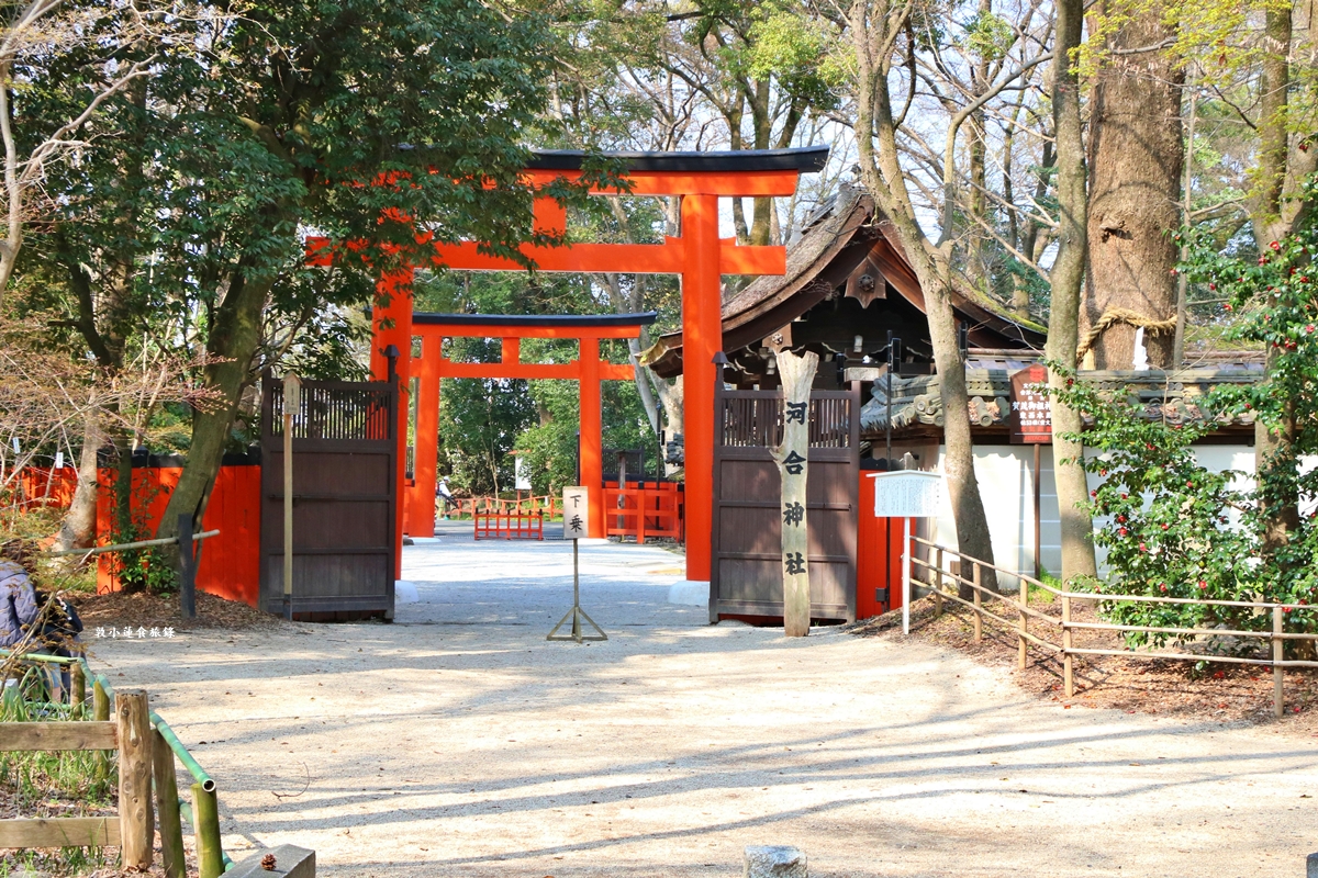 【日本京都】下鴨神社-賀茂御祖神社‧日本最古老2000年歷史神社，季節限定櫻花蕾絲御守