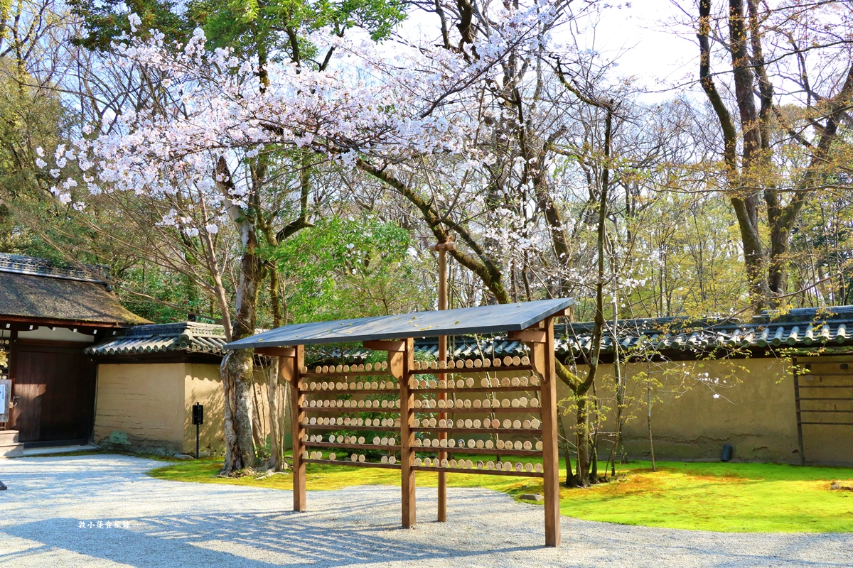 【日本京都】下鴨神社-賀茂御祖神社‧日本最古老2000年歷史神社，季節限定櫻花蕾絲御守