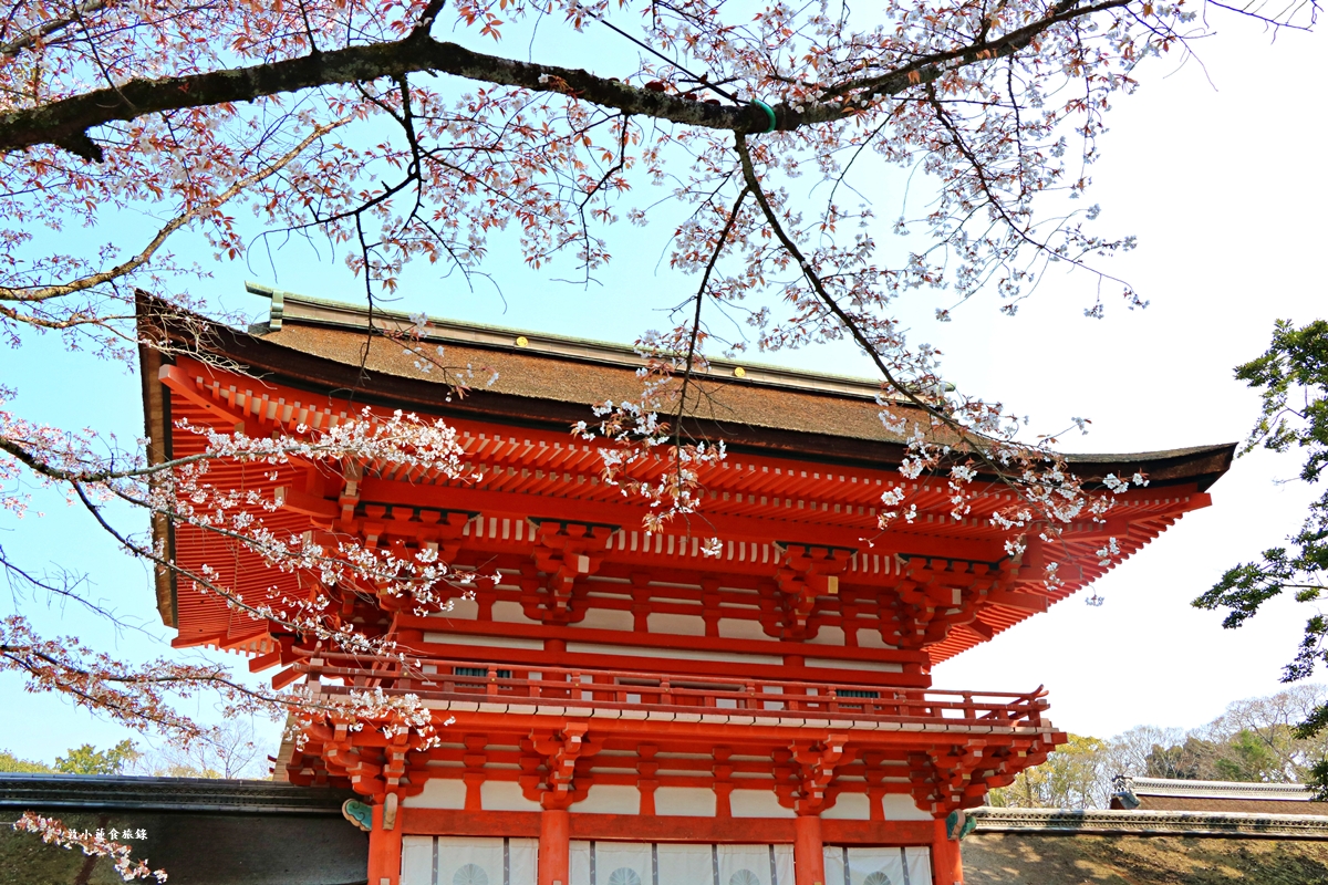 【日本京都】下鴨神社-賀茂御祖神社‧日本最古老2000年歷史神社，季節限定櫻花蕾絲御守