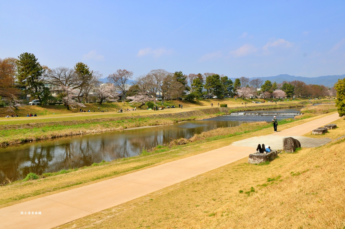 【日本京都】鴨川公園賀茂川‧半木の道賞櫻小徑,一公里長的染井吉野櫻、紅枝垂櫻 - 第5張圖 【日本京都】鴨川公園賀茂川‧半木の道賞櫻小徑,一公里長的染井吉野櫻、紅枝垂櫻