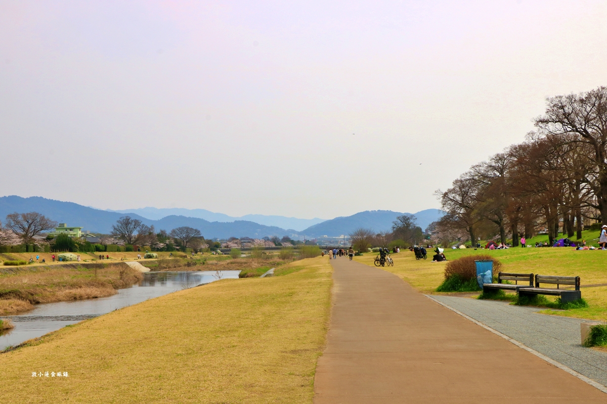 【日本京都】鴨川公園賀茂川‧半木の道賞櫻小徑,一公里長的染井吉野櫻、紅枝垂櫻 - 第4張圖 【日本京都】鴨川公園賀茂川‧半木の道賞櫻小徑,一公里長的染井吉野櫻、紅枝垂櫻
