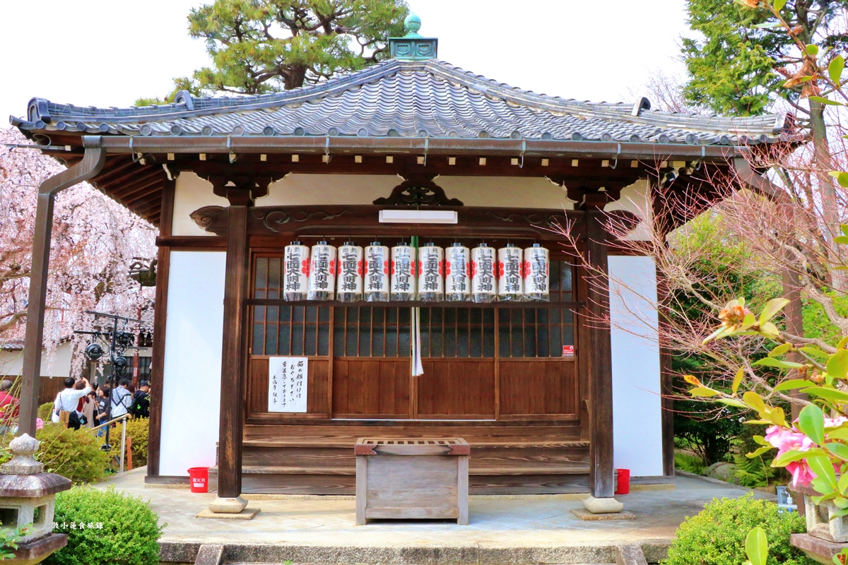 【京都日本】本滿寺‧室町時代創立的古寺,本滿寺90年樹齡的枝垂櫻,粉嫩櫻花隨風搖曳 - 第4張圖 【京都日本】本滿寺‧室町時代創立的古寺,本滿寺90年樹齡的枝垂櫻,粉嫩櫻花隨風搖曳