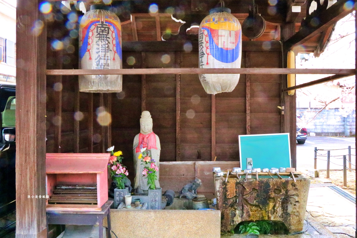 【京都日本】本滿寺‧室町時代創立的古寺,本滿寺90年樹齡的枝垂櫻,粉嫩櫻花隨風搖曳 - 第5張圖 【京都日本】本滿寺‧室町時代創立的古寺,本滿寺90年樹齡的枝垂櫻,粉嫩櫻花隨風搖曳