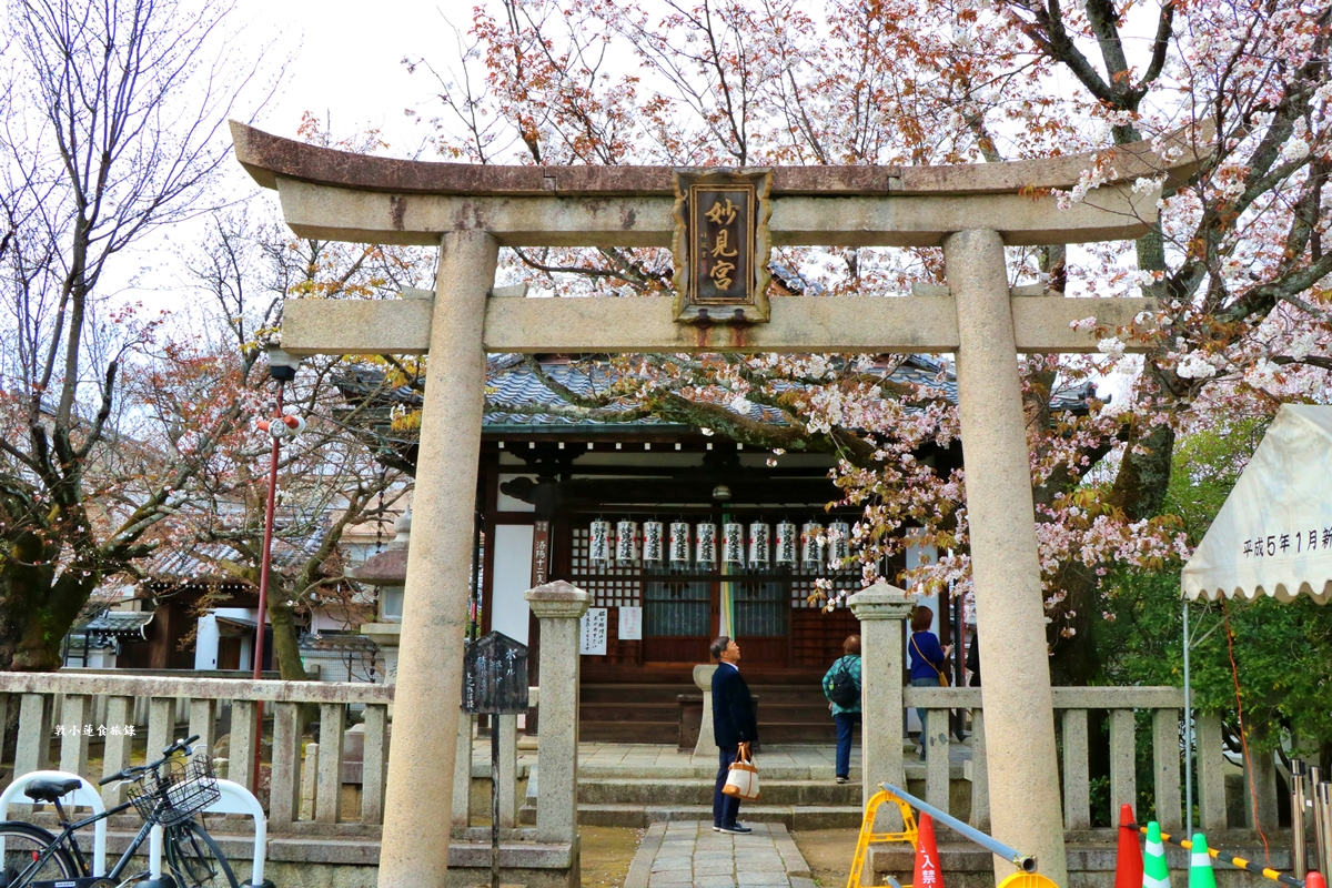 【京都日本】本滿寺‧室町時代創立的古寺,本滿寺90年樹齡的枝垂櫻,粉嫩櫻花隨風搖曳 - 第16張圖 【京都日本】本滿寺‧室町時代創立的古寺,本滿寺90年樹齡的枝垂櫻,粉嫩櫻花隨風搖曳