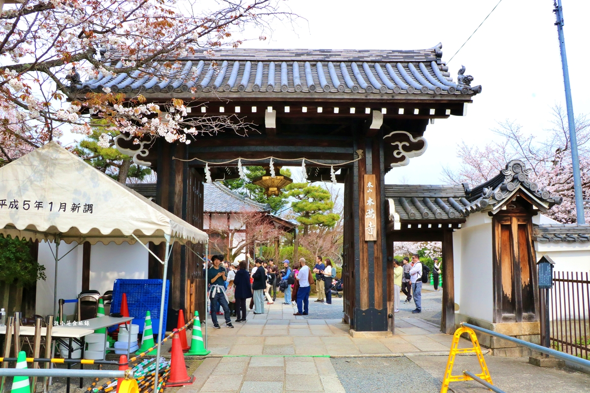 【京都日本】本滿寺‧室町時代創立的古寺,本滿寺90年樹齡的枝垂櫻,粉嫩櫻花隨風搖曳 - 第2張圖 【京都日本】本滿寺‧室町時代創立的古寺,本滿寺90年樹齡的枝垂櫻,粉嫩櫻花隨風搖曳