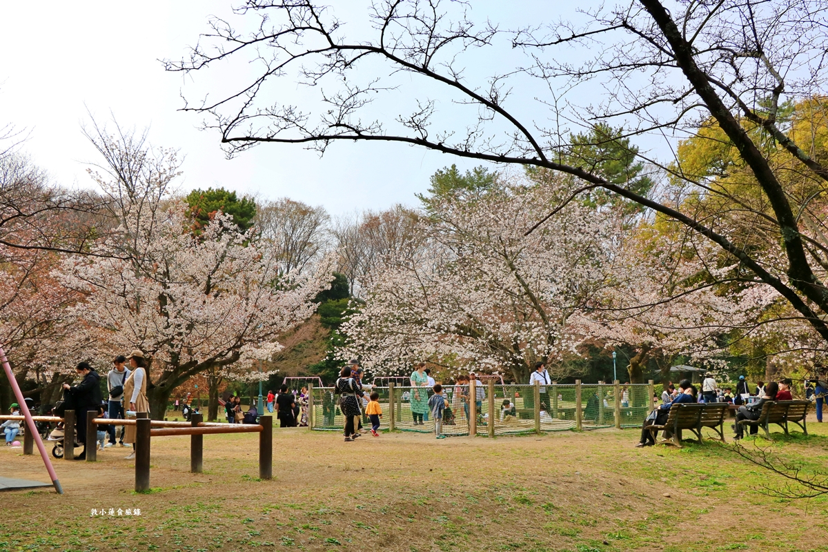 【日本京都】京都御苑 ‧天皇御所，歷代500年天皇居住的皇家公園，免費觀園賞櫻、賞楓