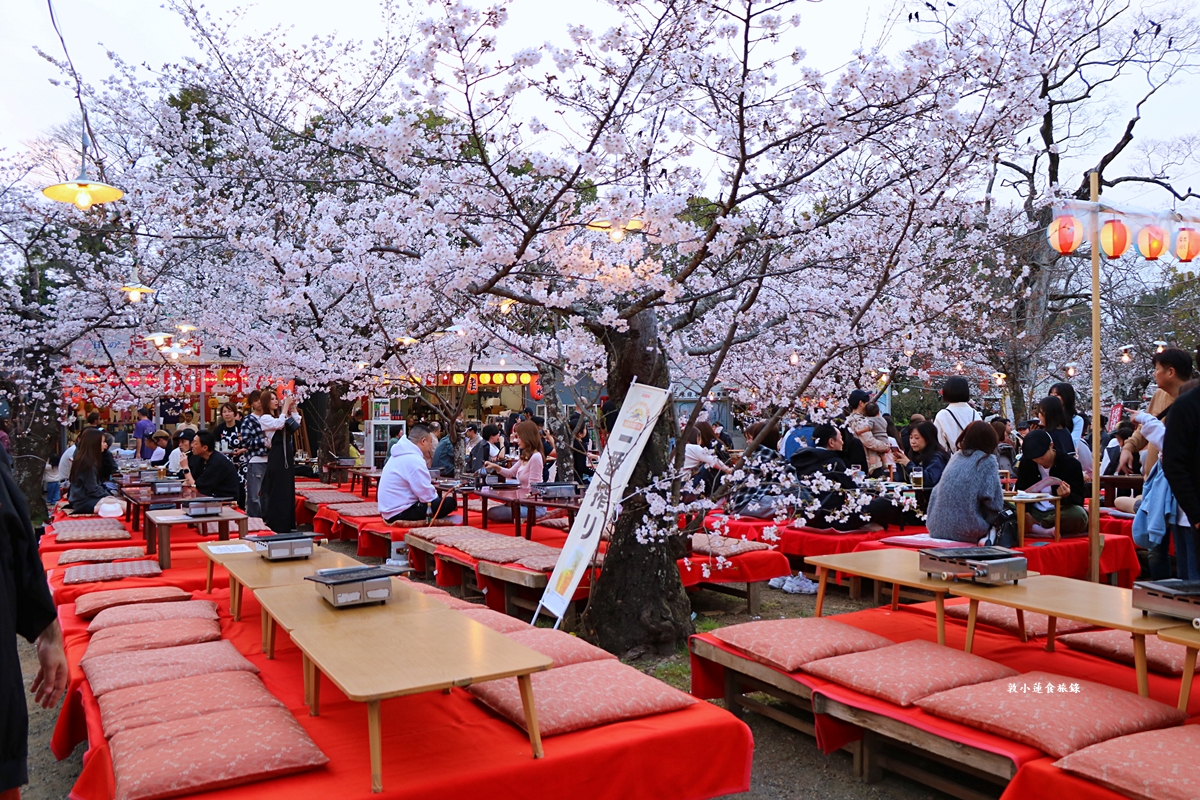 【日本京都】圓山公園‧八坂神社京都夜櫻，京都賞櫻名景之一祇園枝垂櫻