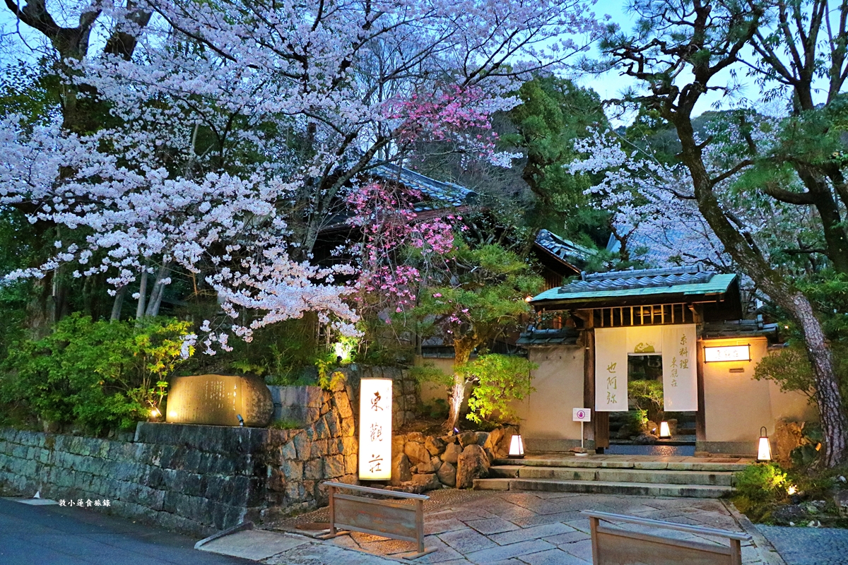 【日本京都】圓山公園‧八坂神社京都夜櫻，京都賞櫻名景之一祇園枝垂櫻