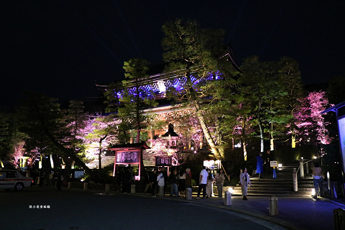 【日本京都】圓山公園‧八坂神社京都夜櫻，京都賞櫻名景之一祇園枝垂櫻