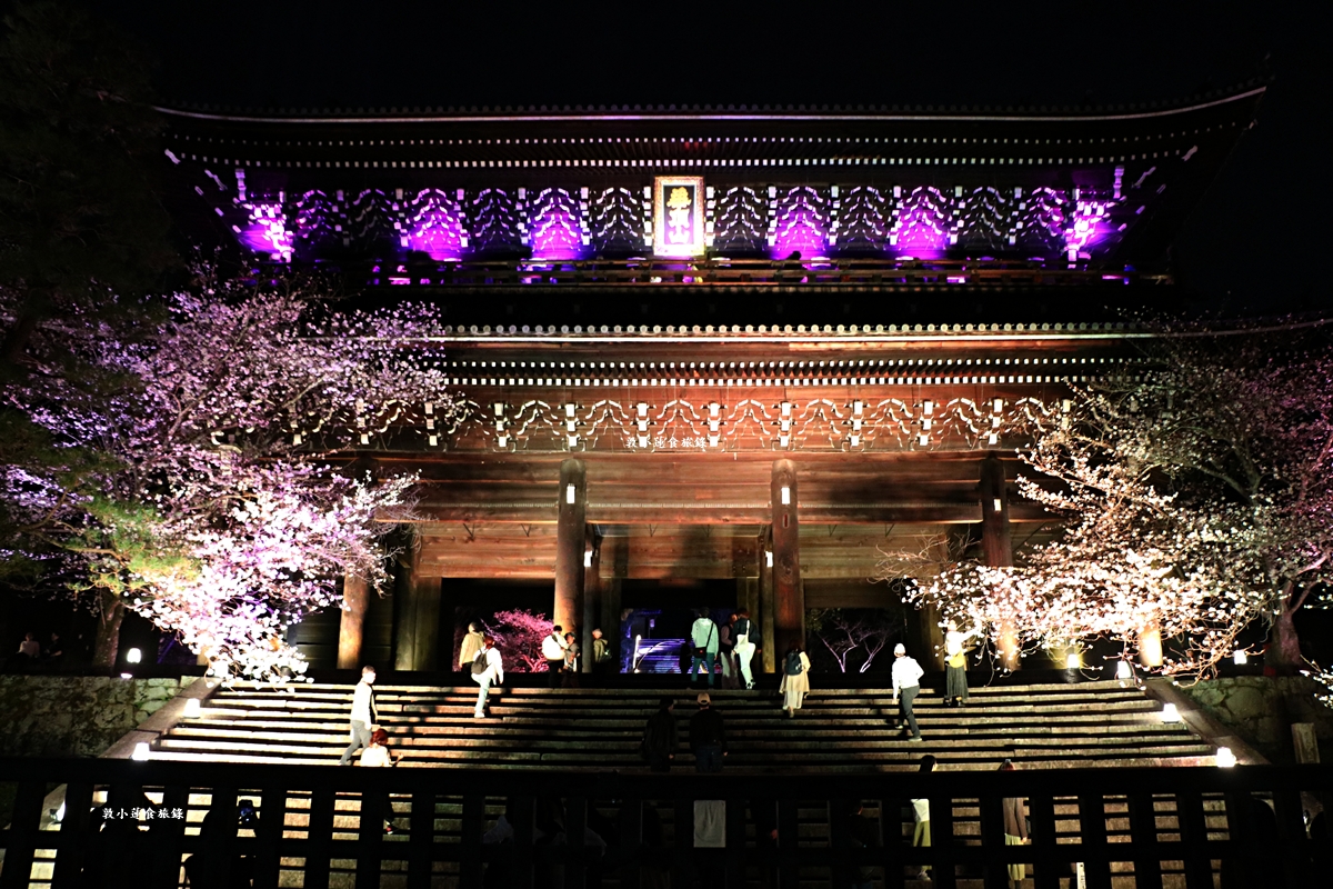 【日本京都】圓山公園‧八坂神社京都夜櫻，京都賞櫻名景之一祇園枝垂櫻