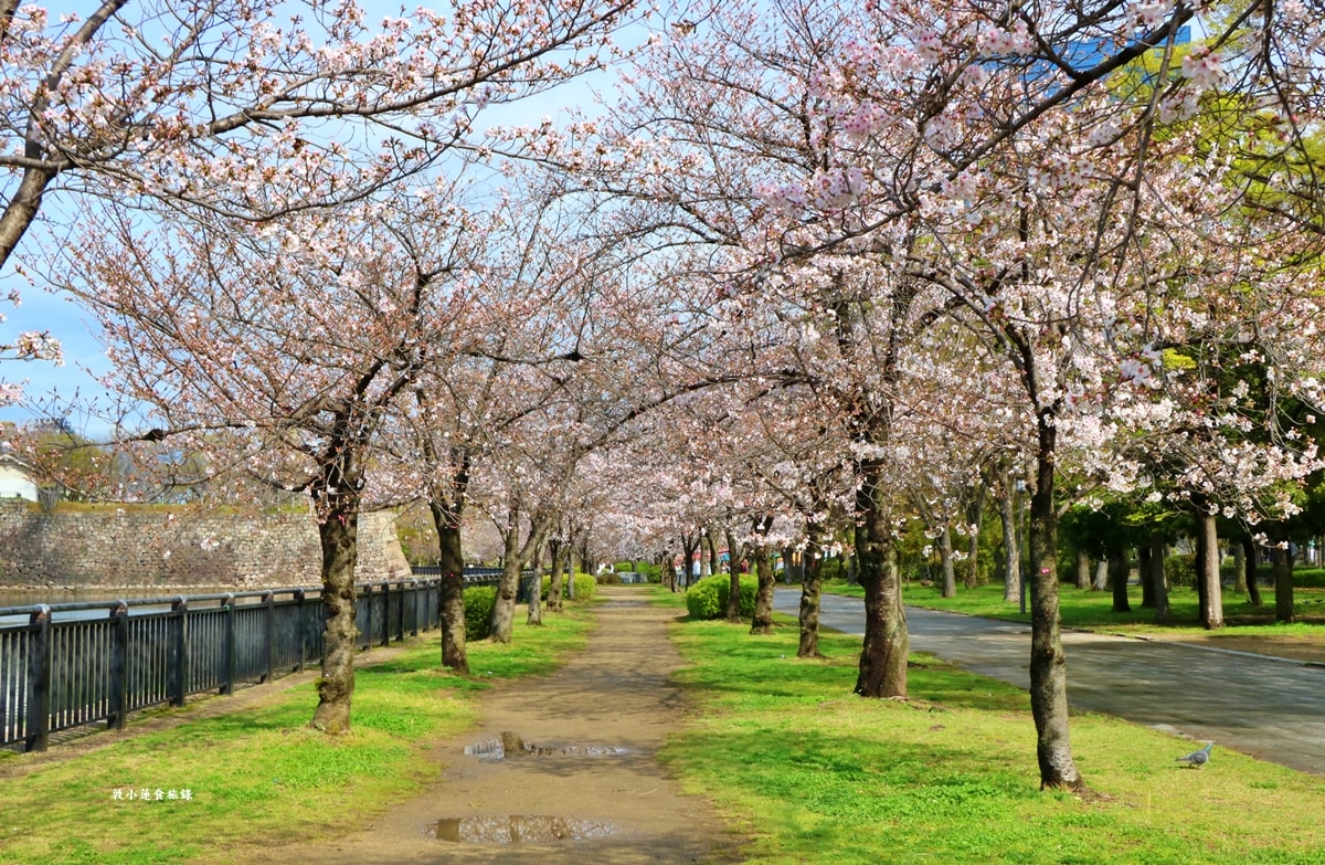 【日本大阪】大阪城‧日本三大名城之一,戰國三傑豐臣秀吉建造,春櫻勝地西之丸庭園,夜間有點燈活動 - 第10張圖 【日本大阪】大阪城‧日本三大名城之一,戰國三傑豐臣秀吉建造,春櫻勝地西之丸庭園,夜間有點燈活動