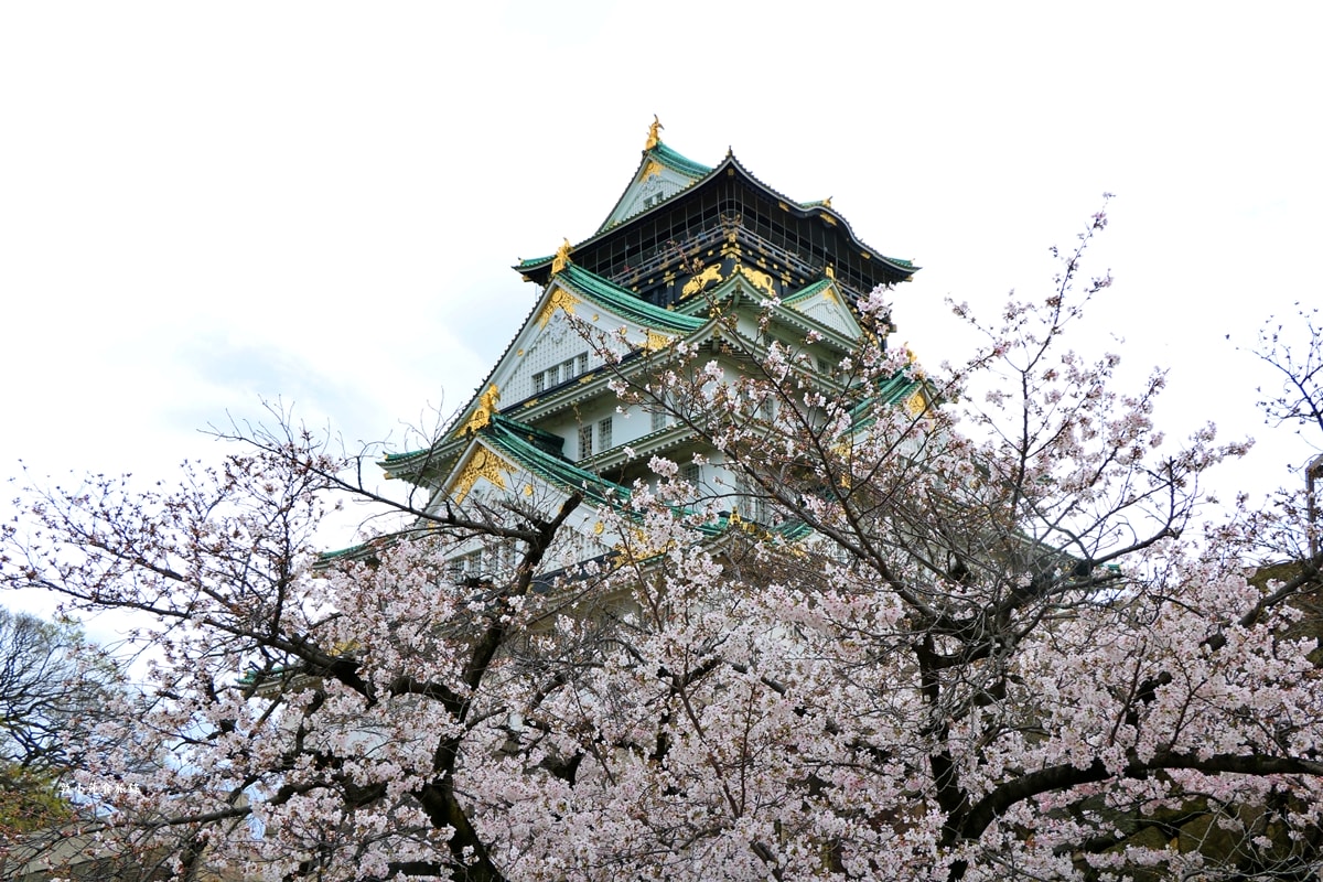 【日本京阪】京阪賞櫻攻略懶人包‧岡山進大阪出，三、四月京阪賞櫻必訪12景點，暢遊京阪櫻花季