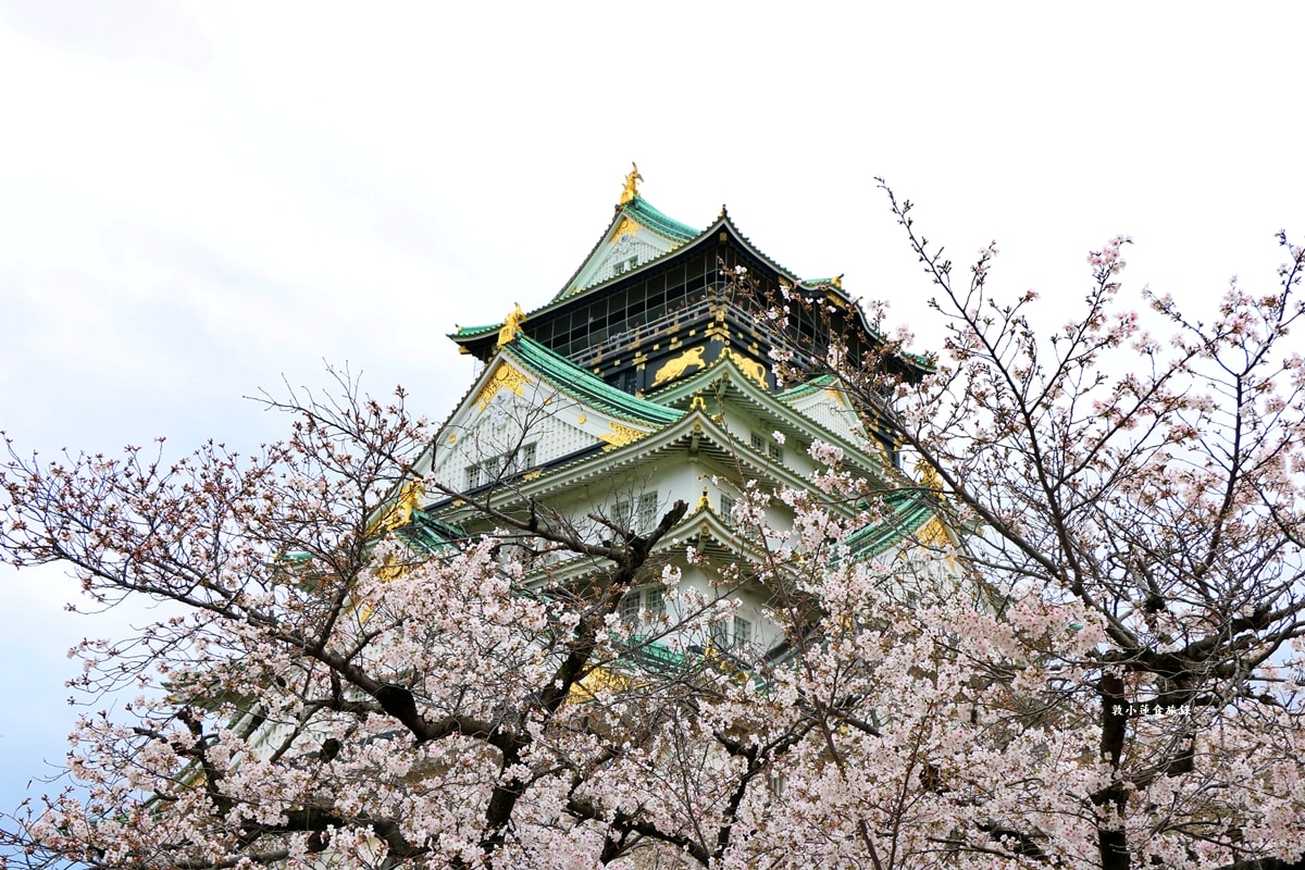 【日本大阪】大阪城‧日本三大名城之一,戰國三傑豐臣秀吉建造,春櫻勝地西之丸庭園,夜間有點燈活動 - 第16張圖 【日本大阪】大阪城‧日本三大名城之一,戰國三傑豐臣秀吉建造,春櫻勝地西之丸庭園,夜間有點燈活動