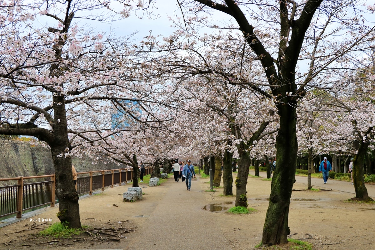 【日本大阪】大阪城‧日本三大名城之一,戰國三傑豐臣秀吉建造,春櫻勝地西之丸庭園,夜間有點燈活動 - 第18張圖 【日本大阪】大阪城‧日本三大名城之一,戰國三傑豐臣秀吉建造,春櫻勝地西之丸庭園,夜間有點燈活動