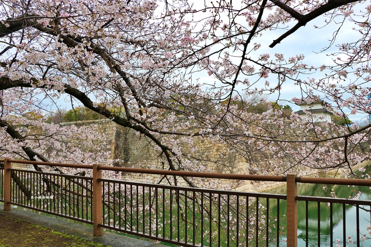 【日本大阪】大阪城‧日本三大名城之一,戰國三傑豐臣秀吉建造,春櫻勝地西之丸庭園,夜間有點燈活動 - 第20張圖 【日本大阪】大阪城‧日本三大名城之一,戰國三傑豐臣秀吉建造,春櫻勝地西之丸庭園,夜間有點燈活動