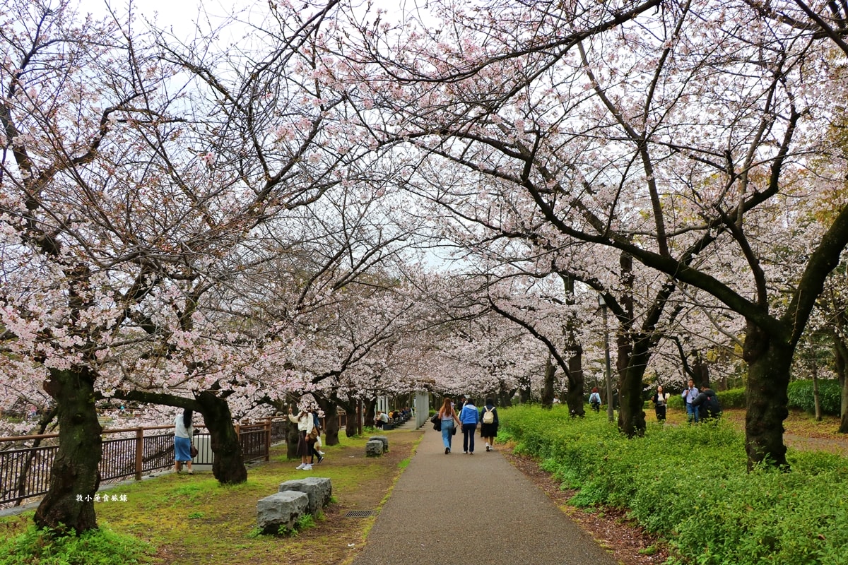 【日本大阪】大阪城‧日本三大名城之一,戰國三傑豐臣秀吉建造,春櫻勝地西之丸庭園,夜間有點燈活動 - 第19張圖 【日本大阪】大阪城‧日本三大名城之一,戰國三傑豐臣秀吉建造,春櫻勝地西之丸庭園,夜間有點燈活動