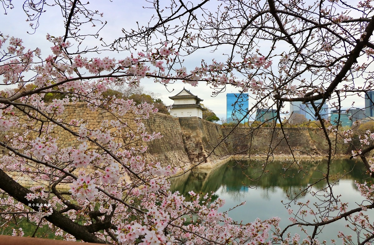 【日本大阪】大阪城‧日本三大名城之一,戰國三傑豐臣秀吉建造,春櫻勝地西之丸庭園,夜間有點燈活動 - 第22張圖 【日本大阪】大阪城‧日本三大名城之一,戰國三傑豐臣秀吉建造,春櫻勝地西之丸庭園,夜間有點燈活動