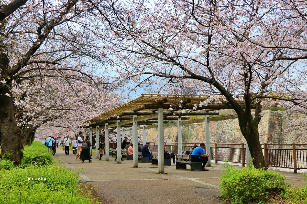 【日本大阪】大阪城‧日本三大名城之一,戰國三傑豐臣秀吉建造,春櫻勝地西之丸庭園,夜間有點燈活動 - 第17張圖 【日本大阪】大阪城‧日本三大名城之一,戰國三傑豐臣秀吉建造,春櫻勝地西之丸庭園,夜間有點燈活動