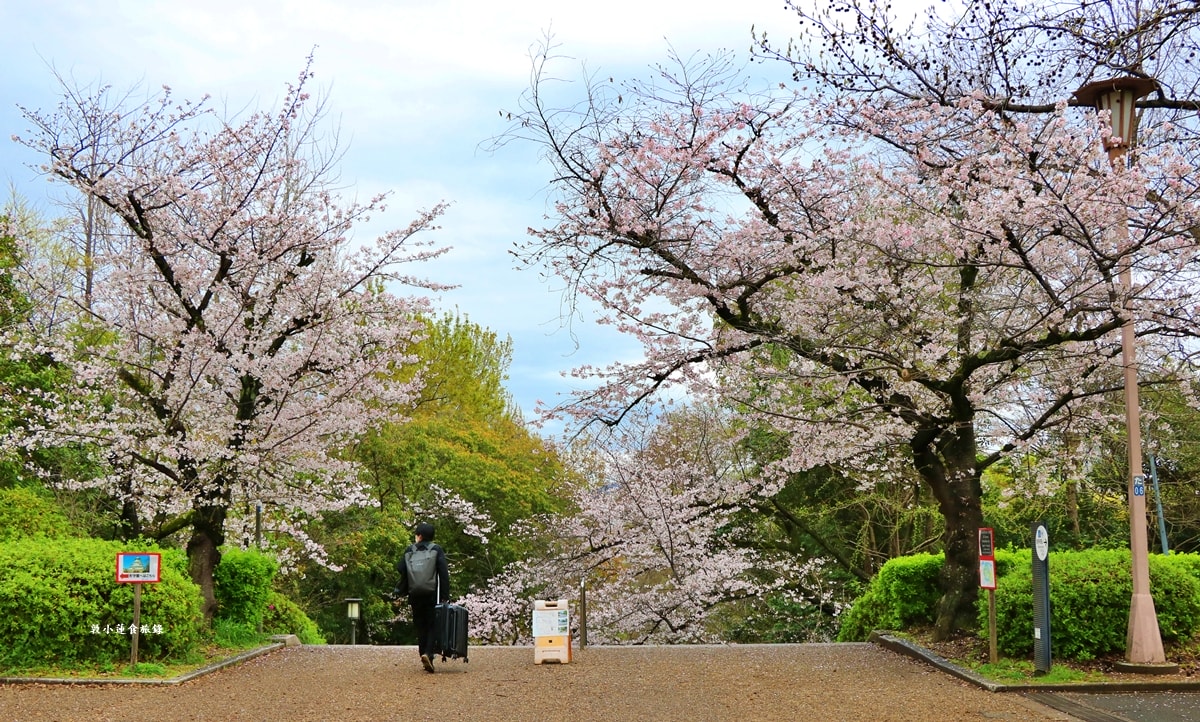 【日本大阪】大阪城‧日本三大名城之一,戰國三傑豐臣秀吉建造,春櫻勝地西之丸庭園,夜間有點燈活動 - 第24張圖 【日本大阪】大阪城‧日本三大名城之一,戰國三傑豐臣秀吉建造,春櫻勝地西之丸庭園,夜間有點燈活動