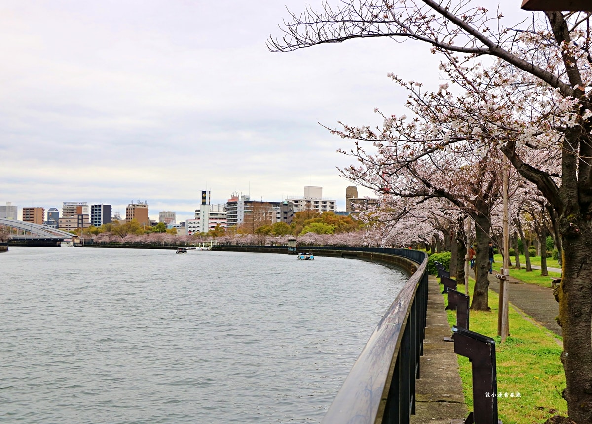 【日本大阪】毛馬櫻之宮公園‧四月櫻花季,4.2公里的櫻花道,4800株櫻花緩慢綻放!! - 第1張圖 【日本大阪】毛馬櫻之宮公園‧四月櫻花季,4.2公里的櫻花道,4800株櫻花緩慢綻放!!