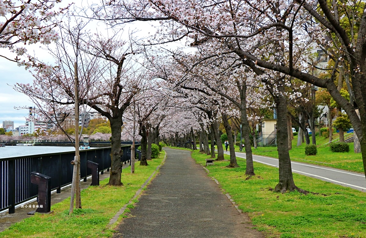 【日本大阪】毛馬櫻之宮公園‧四月櫻花季,4.2公里的櫻花道,4800株櫻花緩慢綻放!! - 第2張圖 【日本大阪】毛馬櫻之宮公園‧四月櫻花季,4.2公里的櫻花道,4800株櫻花緩慢綻放!!