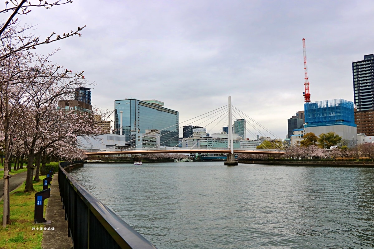 【日本大阪】毛馬櫻之宮公園‧四月櫻花季,4.2公里的櫻花道,4800株櫻花緩慢綻放!! - 第3張圖 【日本大阪】毛馬櫻之宮公園‧四月櫻花季,4.2公里的櫻花道,4800株櫻花緩慢綻放!!