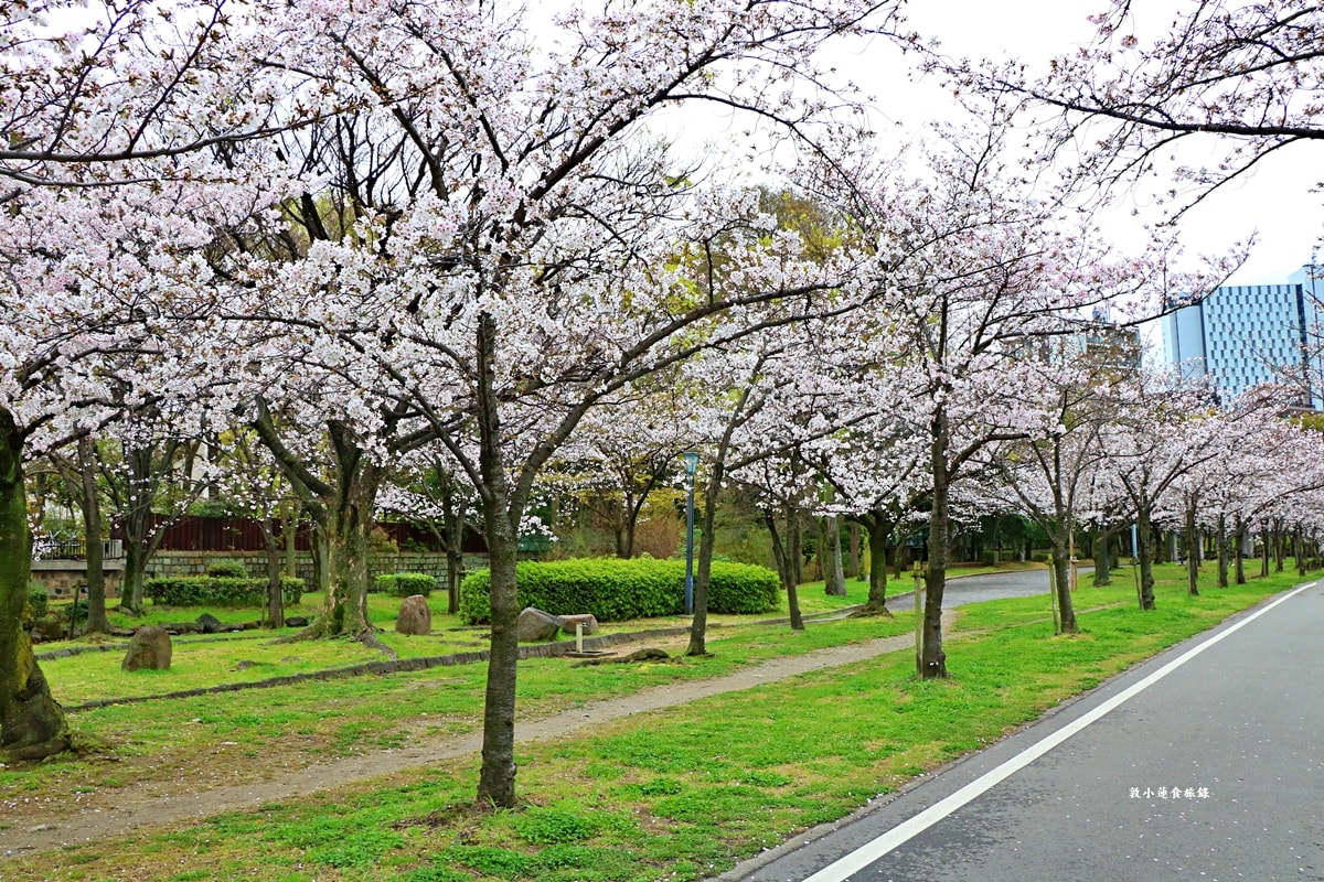 【日本大阪】毛馬櫻之宮公園‧四月櫻花季,4.2公里的櫻花道,4800株櫻花緩慢綻放!! - 第7張圖 【日本大阪】毛馬櫻之宮公園‧四月櫻花季,4.2公里的櫻花道,4800株櫻花緩慢綻放!!