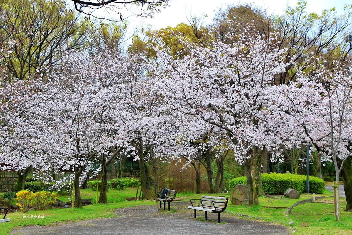 【日本大阪】毛馬櫻之宮公園‧四月櫻花季,4.2公里的櫻花道,4800株櫻花緩慢綻放!! - 第8張圖 【日本大阪】毛馬櫻之宮公園‧四月櫻花季,4.2公里的櫻花道,4800株櫻花緩慢綻放!!