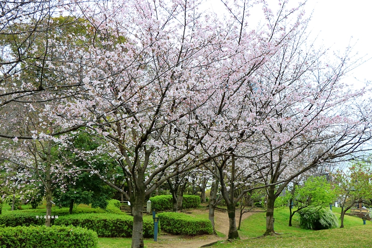 【日本大阪】毛馬櫻之宮公園‧四月櫻花季,4.2公里的櫻花道,4800株櫻花緩慢綻放!! - 第10張圖 【日本大阪】毛馬櫻之宮公園‧四月櫻花季,4.2公里的櫻花道,4800株櫻花緩慢綻放!!