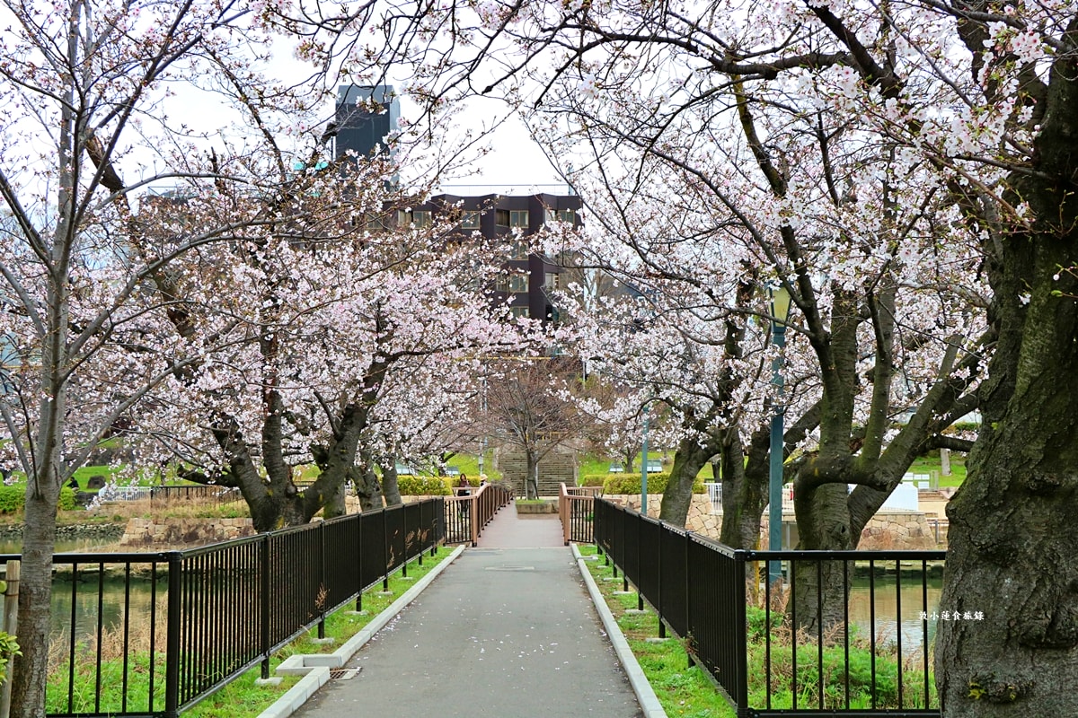 【日本大阪】毛馬櫻之宮公園‧四月櫻花季,4.2公里的櫻花道,4800株櫻花緩慢綻放!! - 第14張圖 【日本大阪】毛馬櫻之宮公園‧四月櫻花季,4.2公里的櫻花道,4800株櫻花緩慢綻放!!