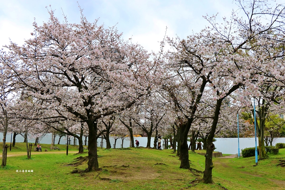 【日本大阪】毛馬櫻之宮公園‧四月櫻花季,4.2公里的櫻花道,4800株櫻花緩慢綻放!! - 第17張圖 【日本大阪】毛馬櫻之宮公園‧四月櫻花季,4.2公里的櫻花道,4800株櫻花緩慢綻放!!