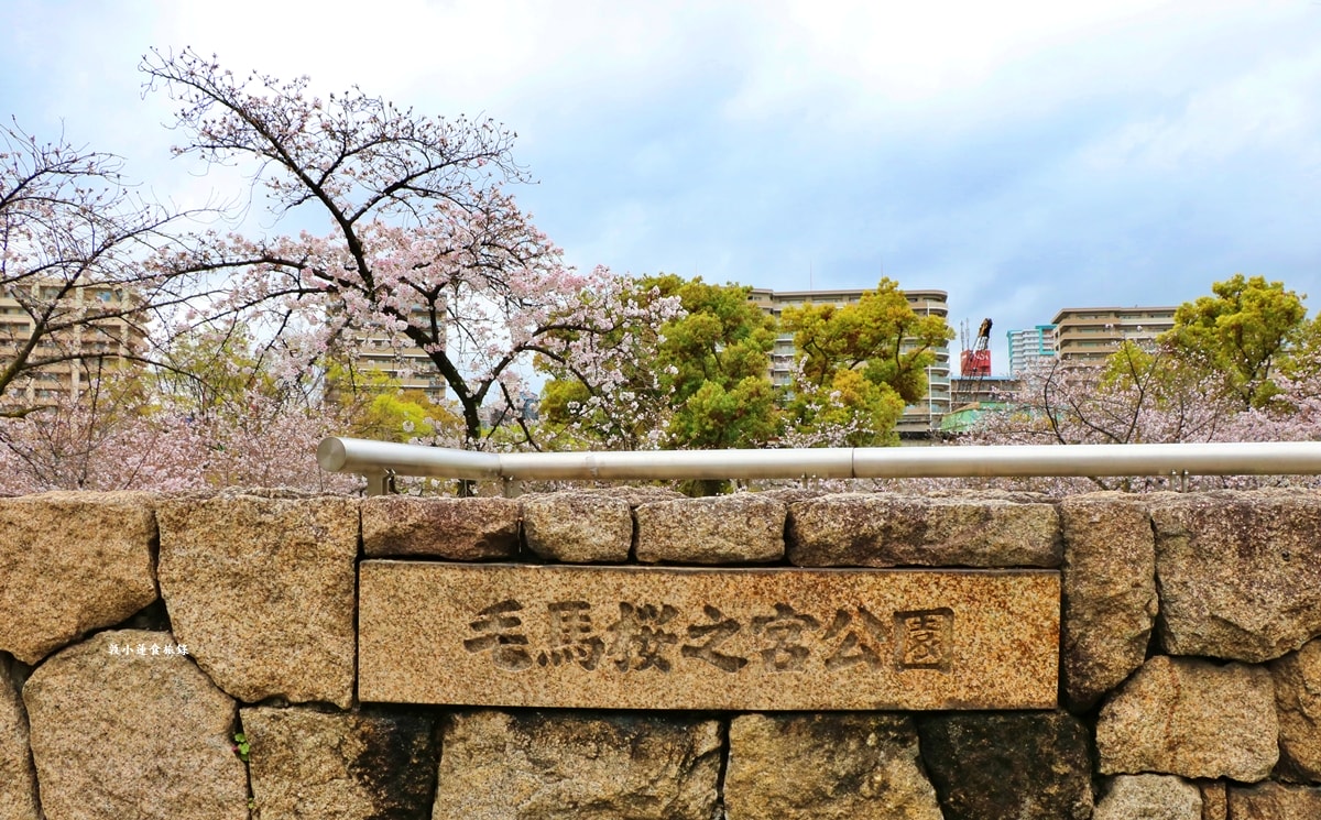 【日本大阪】毛馬櫻之宮公園‧四月櫻花季,4.2公里的櫻花道,4800株櫻花緩慢綻放!! - 第20張圖 【日本大阪】毛馬櫻之宮公園‧四月櫻花季,4.2公里的櫻花道,4800株櫻花緩慢綻放!!