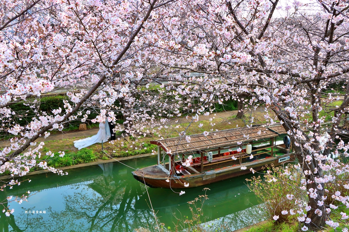 【日本京都】伏見十石舟‧最美的櫻花運河,重回江戶時代靜謐賞櫻,春季最具代表性的水上賞櫻 - 第3張圖 【日本京都】伏見十石舟‧最美的櫻花運河,重回江戶時代靜謐賞櫻,春季最具代表性的水上賞櫻